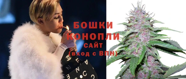 бошки Белокуриха
