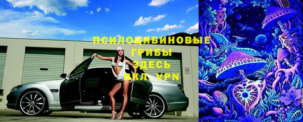 дурь Белоозёрский