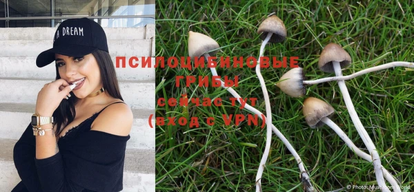дурь Белоозёрский