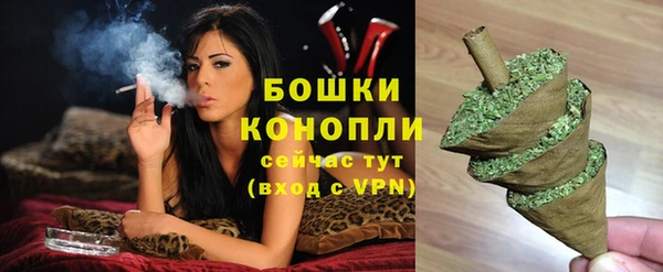 дурь Белоозёрский