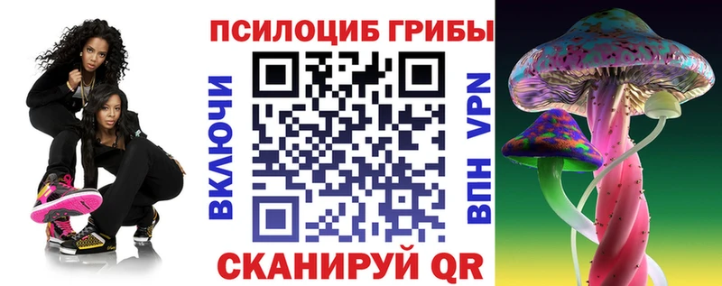 darknet наркотические препараты Великие Луки Псилоцибиновые грибы GOLDEN TEACHER купить сайты